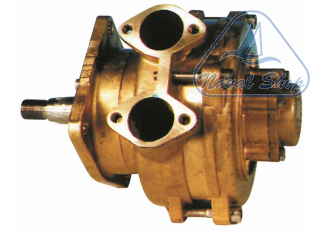 Pompa flangiata ancor cze200 (girante in bronzo) pompa cze200 1829340