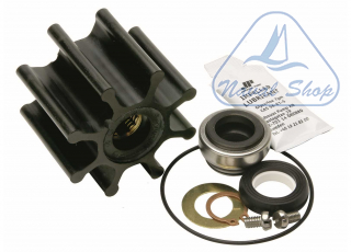 Pompa con frizione magnetica johnson f8b-5001-1.1/2 service kit f8b-8 1829608