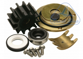 Pompa con frizione manuale ancor service kit pm36 1829705