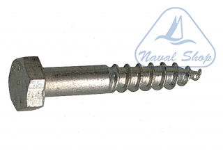 Tirafondi testa esagonale uni 704 din 571 viti 571 a2 10x100 10pz 615711010001