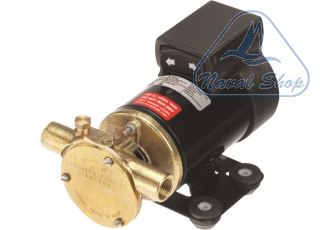 Pompe autoadescanti johnson pompa f38b-19 36l/m 12v 1825805