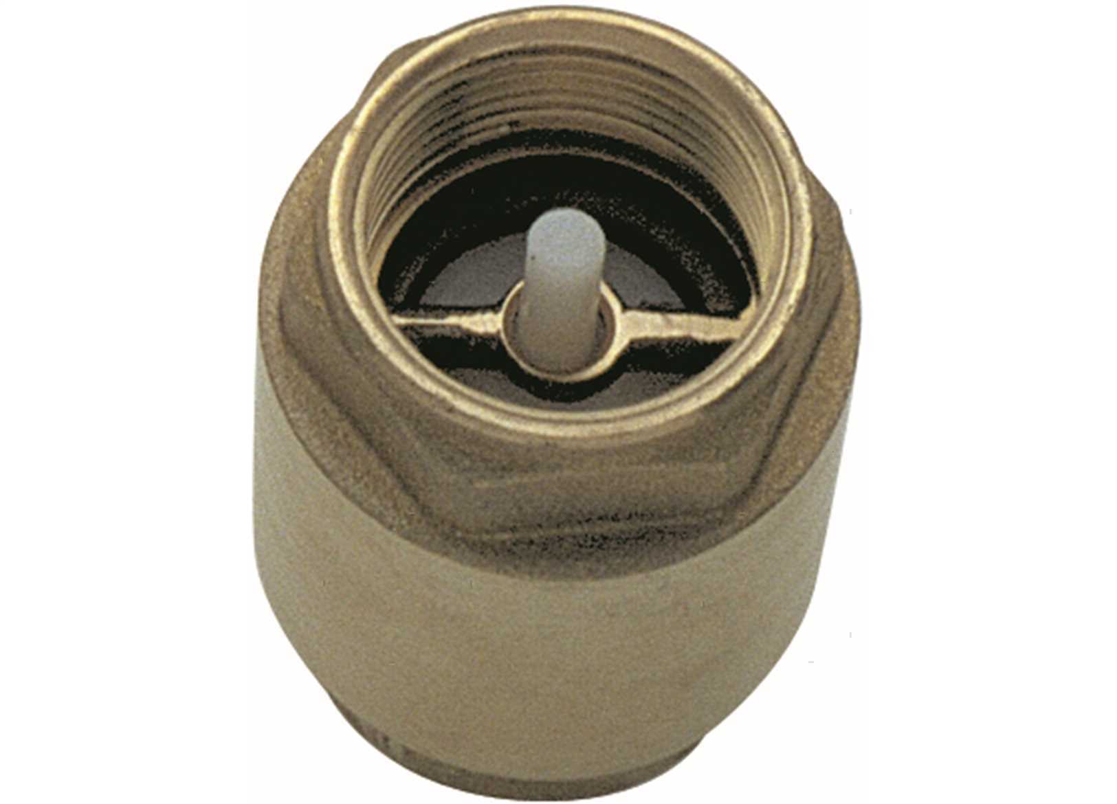 Valvola Unidirezionale Di Non Ritorno Per Oleodinamica Inox AISI 316L - Foto 5